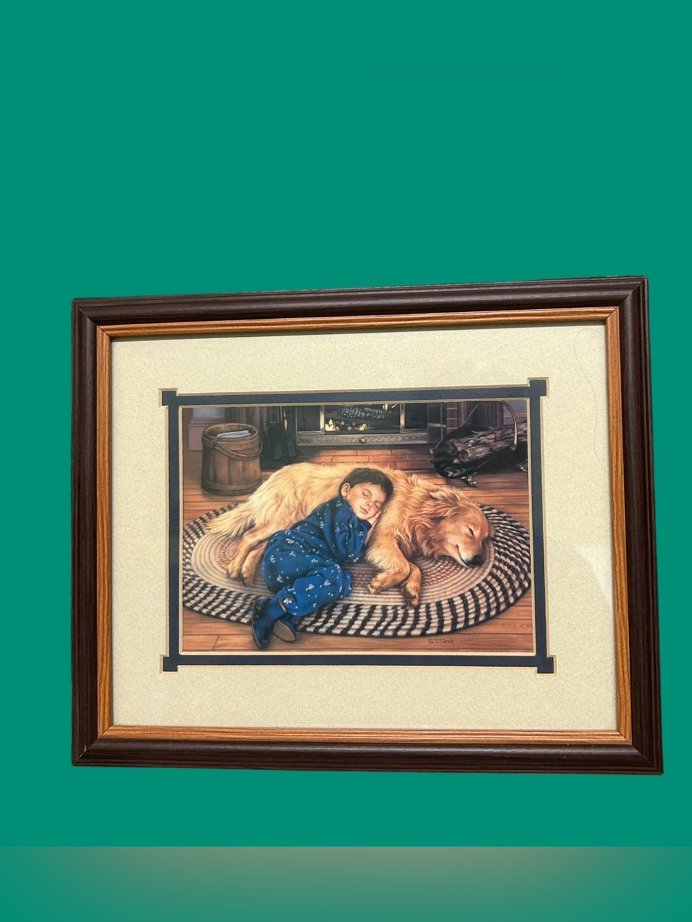 Little Boy Sleeping with His Dog Picture